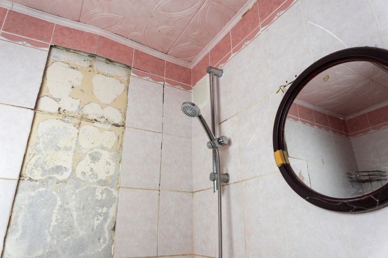 Top Shower Remodeling Companies in Emmett, ID